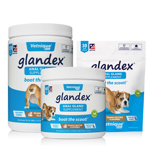Glandex Soft Chew 240 g (60 pcs)