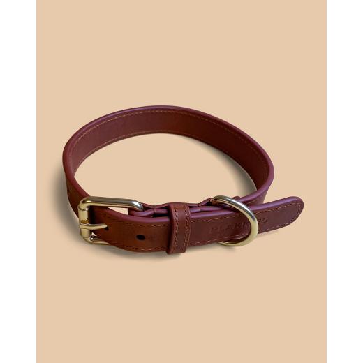 Halsband - Natural Cocoa | Größe: XXL 52-62cm (Dogge)