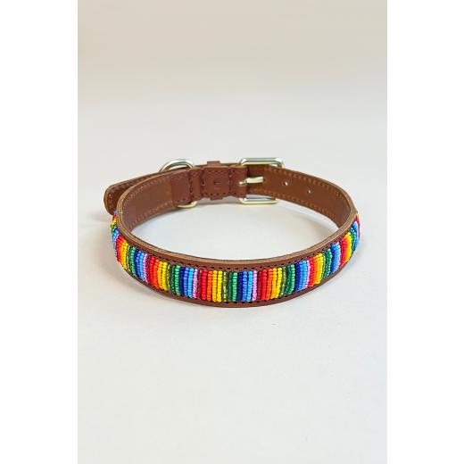 Halsband - Rainbow | Größe: M 35-43cm (Border Collie)