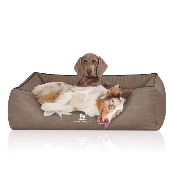 Knuffelwuff Orthopädisches Hundebett Columbia aus laser-gestepptem Kunstleder XL 105 x 75cm Stone