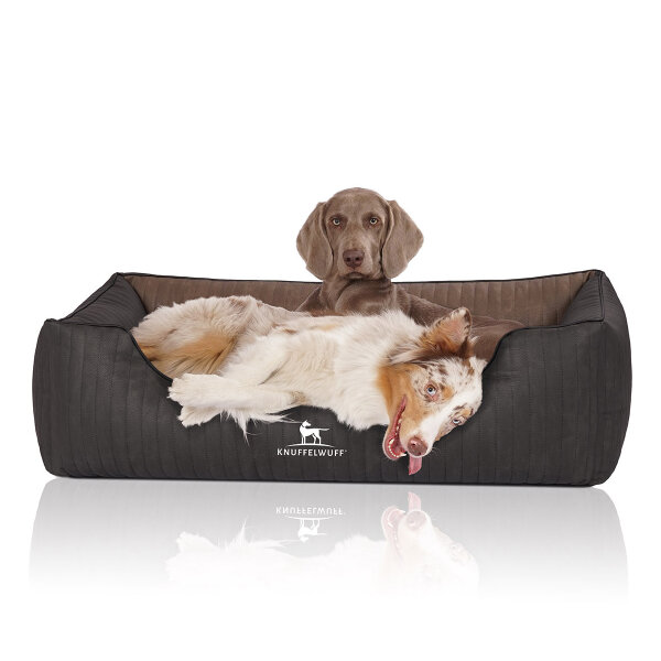Knuffelwuff Orthopädisches Hundebett Outback aus laser-gestepptem Kunstleder XXL 120 x 85cm Schwarz/Braun