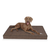 Knuffelwuff orthopädische Hundematte Palomino aus laser-gestepptem Kunstleder L 80 x 60cm Braun