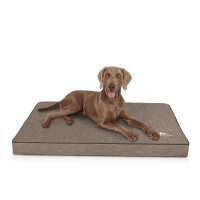 Knuffelwuff orthopädische Hundematte Palomino aus laser-gestepptem Kunstleder XL 100 x 70 Stone