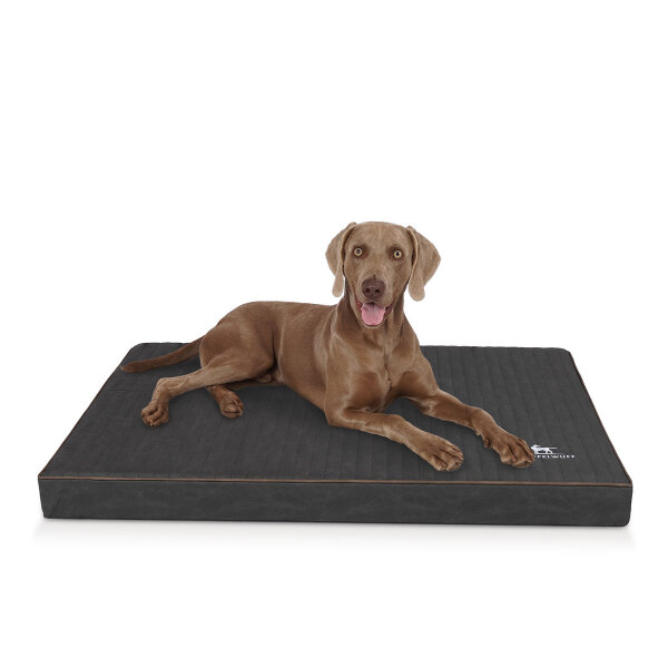 Knuffelwuff orthopädische Hundematte Palomino aus laser-gestepptem Kunstleder XXXL 135 x 90 Schwarz