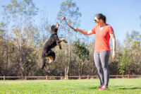 Chuckit! Fetch & Fold Launcher Mini