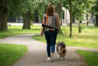 Dog Comets Comet Launcher