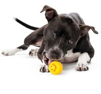 Outward Hound Orbee-Tuff Nooks Gelb