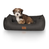 Knuffelwuff Hundebett Dreamline aus Velours Schwarz S 70 x 50cm