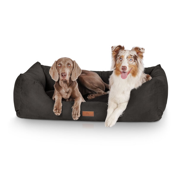 Knuffelwuff Hundebett Dreamline aus Velours Übergröße XXXL 155 x 105cm Schwarz