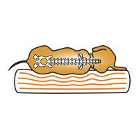 Knuffelwuff Orthopädisches Hundebett Jessy aus Nylongewebe S 73 x 50cm Beige