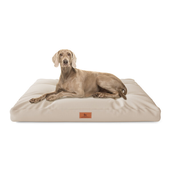 Knuffelwuff Hundekissen Gatsby aus Oxford-Gewebe 75x50cm Beige