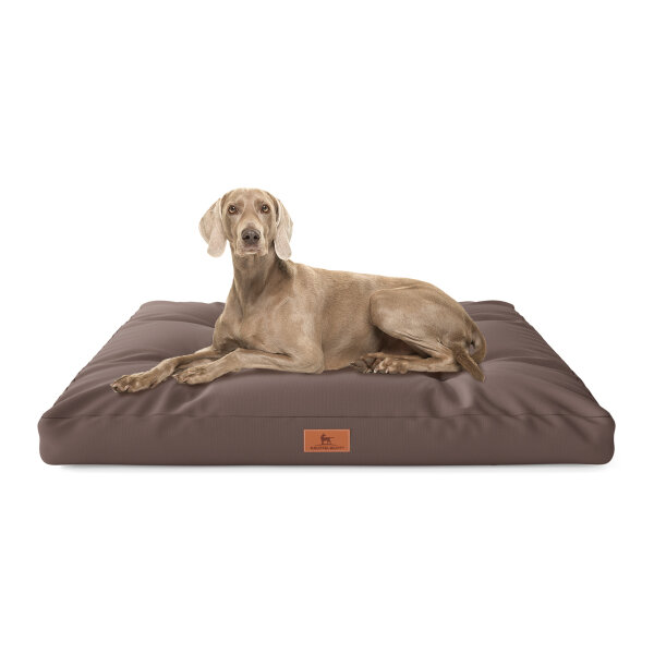 Knuffelwuff Hundekissen Gatsby aus Oxford-Gewebe 75x50cm Braun