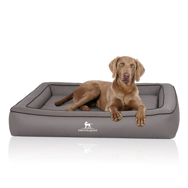 Knuffelwuff Orthopädisches Hundebett aus Laser gestepptem Kunstleder Hampstead S 70 x 50cm Grau