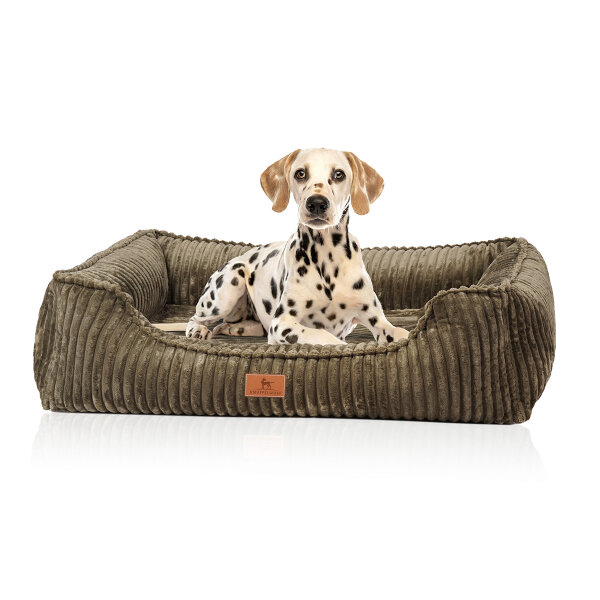 Knuffelwuff orthopädisches Hundebett Sedona aus kuschelig weichem Breitcord XL Khaki