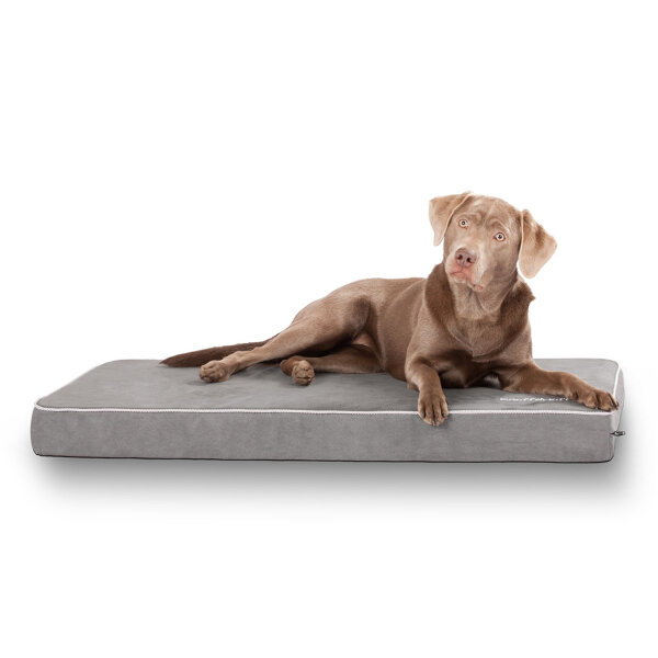 Knuffelwuff Hundematte Maui aus Velours mit 9cm Schaumstoff Grau XXL 110 x 66