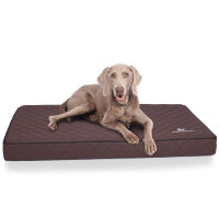Knuffelwuff Orthopädische Hundematte Juna aus laser-gestepptem Kunstleder XXL 110x66cm Braun