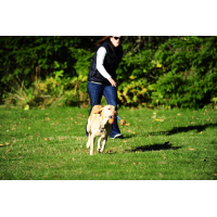 Chuckit! Ultra Duo Tug