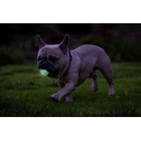 Chuckit! Air Glow Fetch Ball