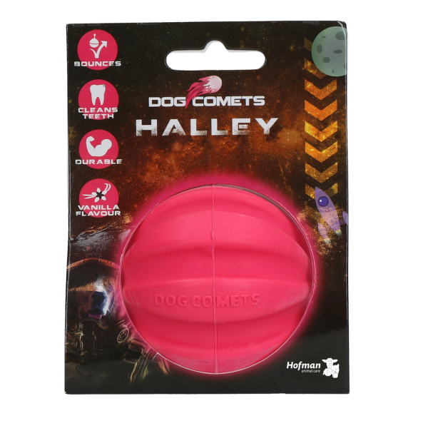 Dog Comets Halley Rosa