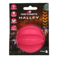 Dog Comets Halley Rosa