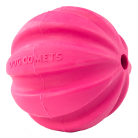 Dog Comets Halley Rosa