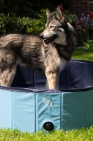 CoolPets Splash Dog Pool