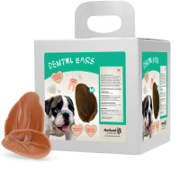 Dental Ears Medium