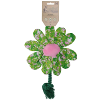 Garden Paws Flower Summer Shrubs