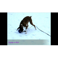 Jolly Romp-n-Roll
