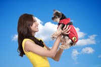 Dog Armor Knockdown Coat (Insect Shield)