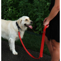 KONG Adjustable Leash Schwarz