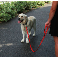 KONG Adjustable Leash Schwarz