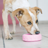 KONG Puppy Tyres Assorti