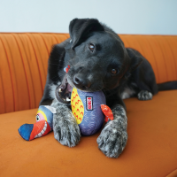 KONG Ballistic Vibez