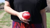 KONG Signature Ball 2-Pack