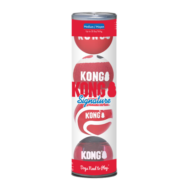 KONG Signature Balls 4-Pack