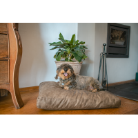 Lets Sleep Plush Pillow Hundebett