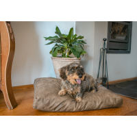 Lets Sleep Plush Pillow Hundebett