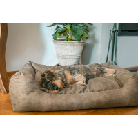 Lets Sleep Sweet Dreams Hundekorb Mit Kissen