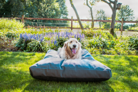Lets Sleep Cushy Cloud Outdoor Hundebett Anthrazit