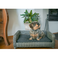 Lets Sleep Cozy Basket Weidenkorb Für Hunde Anthrazit