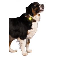 Nightwalk Safety Light