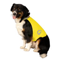 Nightwalk Safety Vest