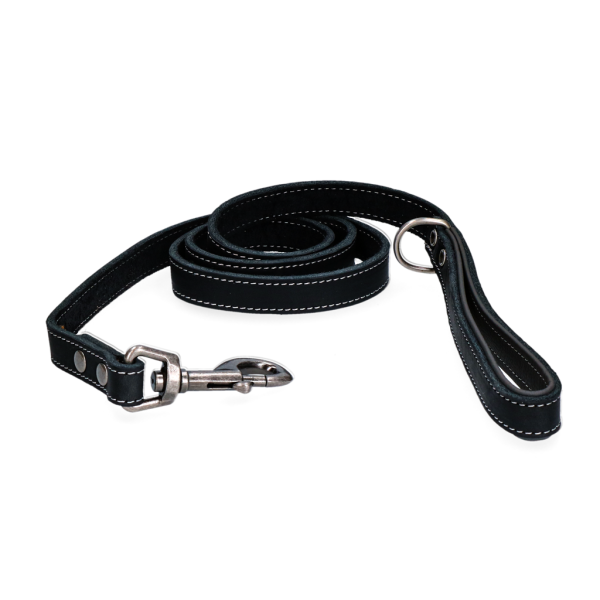 Spotted! Pro Leder Hundeleine