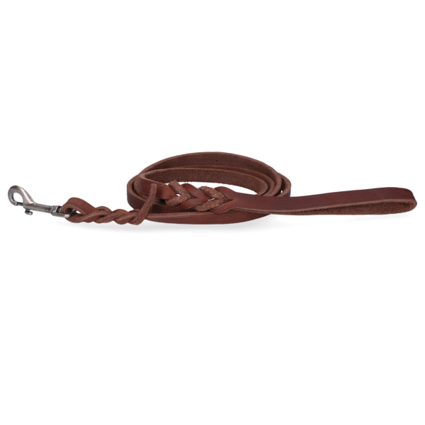 Spotted! Pro Leder Führleine Braun 1,8 x 180 cm