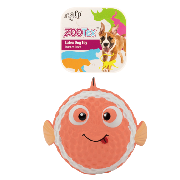 AFP Bouncy Clown Fish