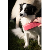 Excellent Pets Grooming Brush Medium Rosa