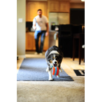 Chuckit! Indoor Roller