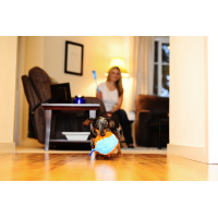 Chuckit! Indoor Shaker