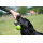 Dog Comets Meteor Wurfstock Rosa L